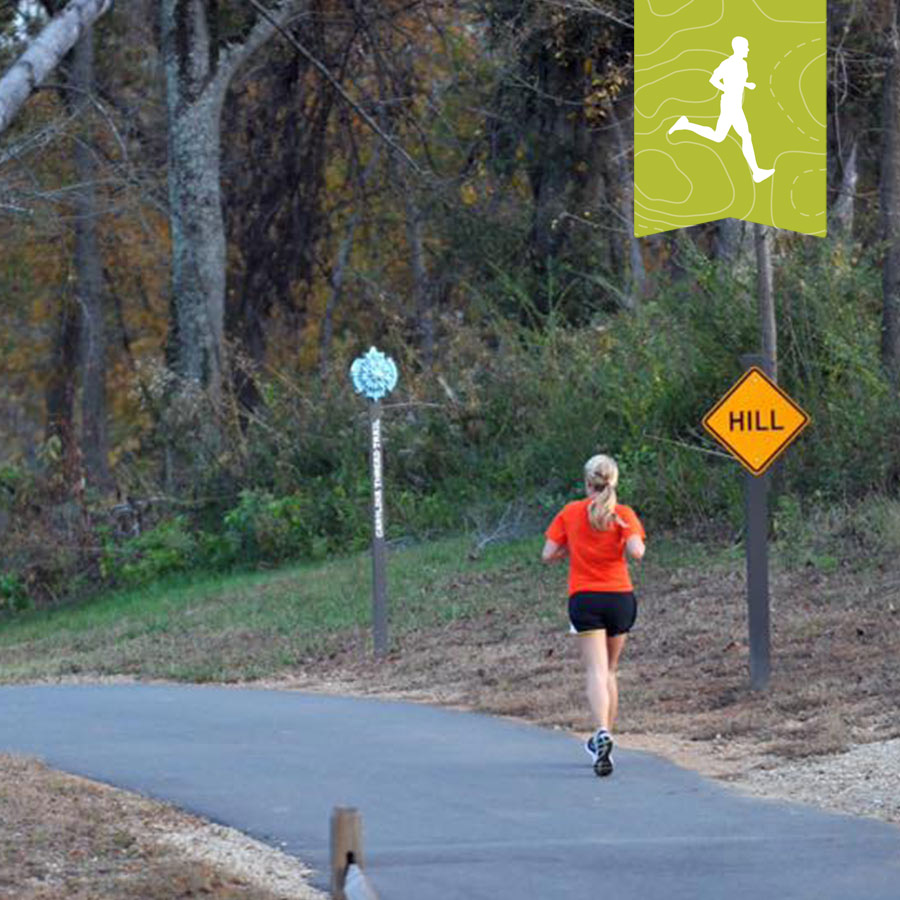 Running on Carolina thread trail