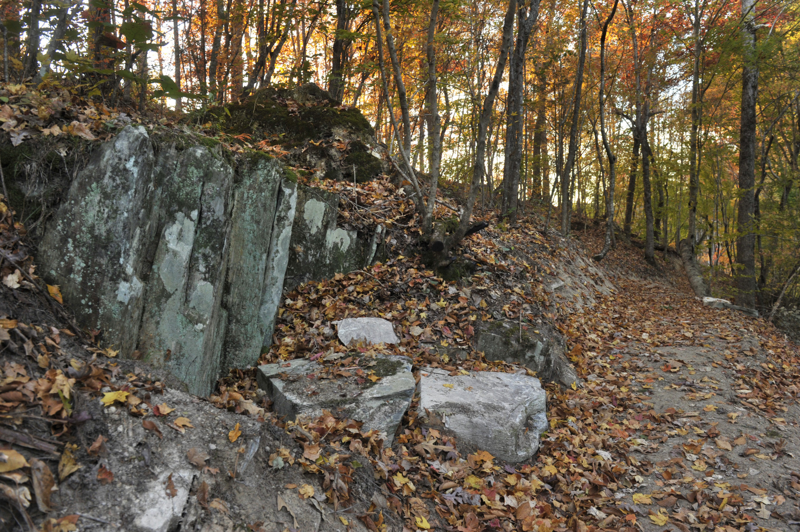 Fall Adventures Await on the Carolina Thread Trail! The Carolina