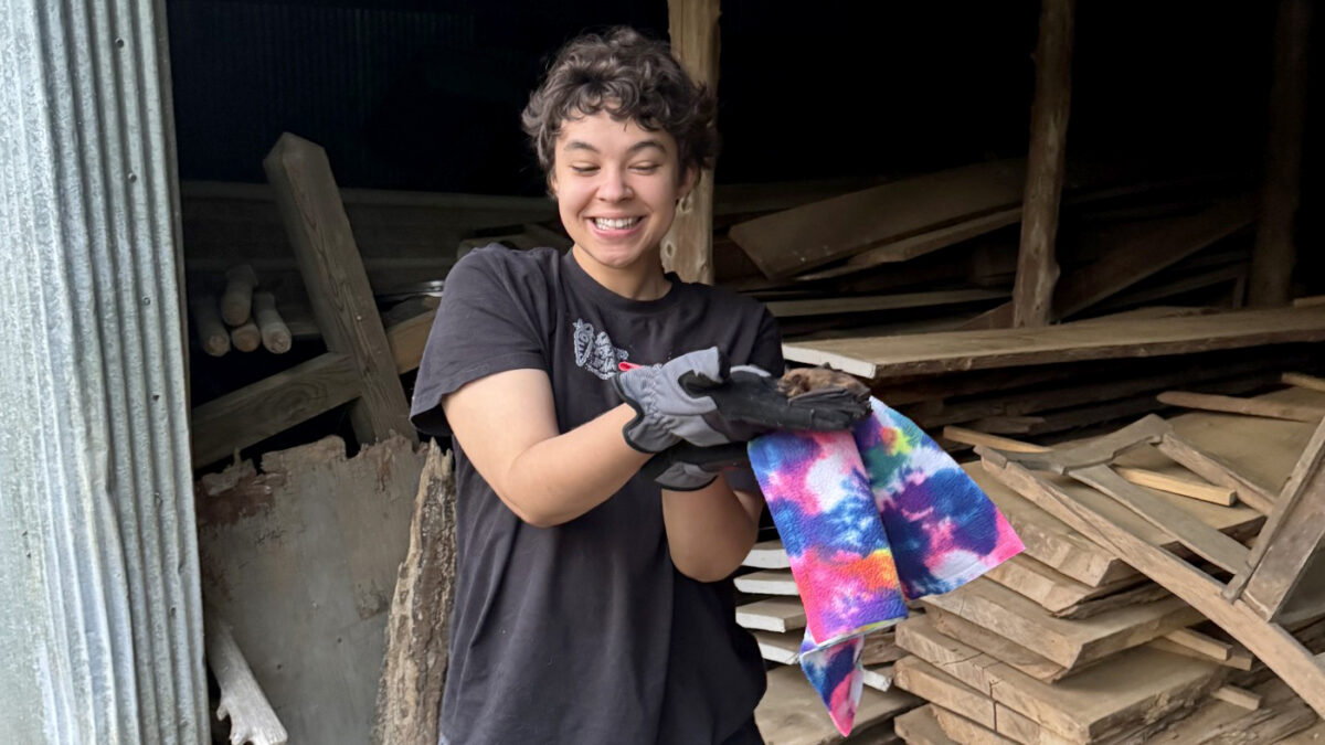 Zoe Freeman - Conservation Technician Intern and bat